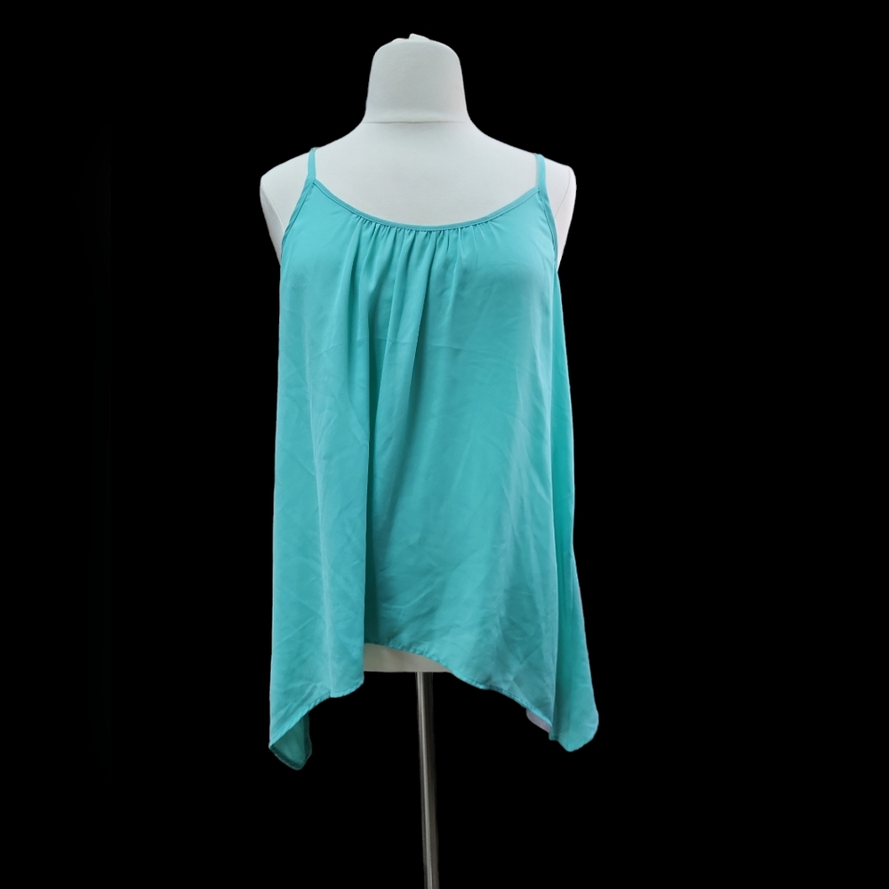 Torrid Sheer Top